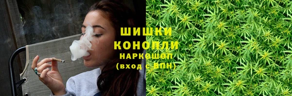 гашик Лабытнанги
