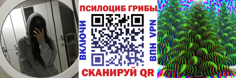 Купить  Кувшиново  Галлюциногенные грибы прущие грибы 